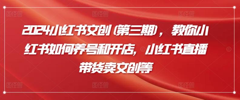 2024小红书文创(第三期)，教你小红书如何养号和开店，小红书直播带货卖文创等-情久项目网