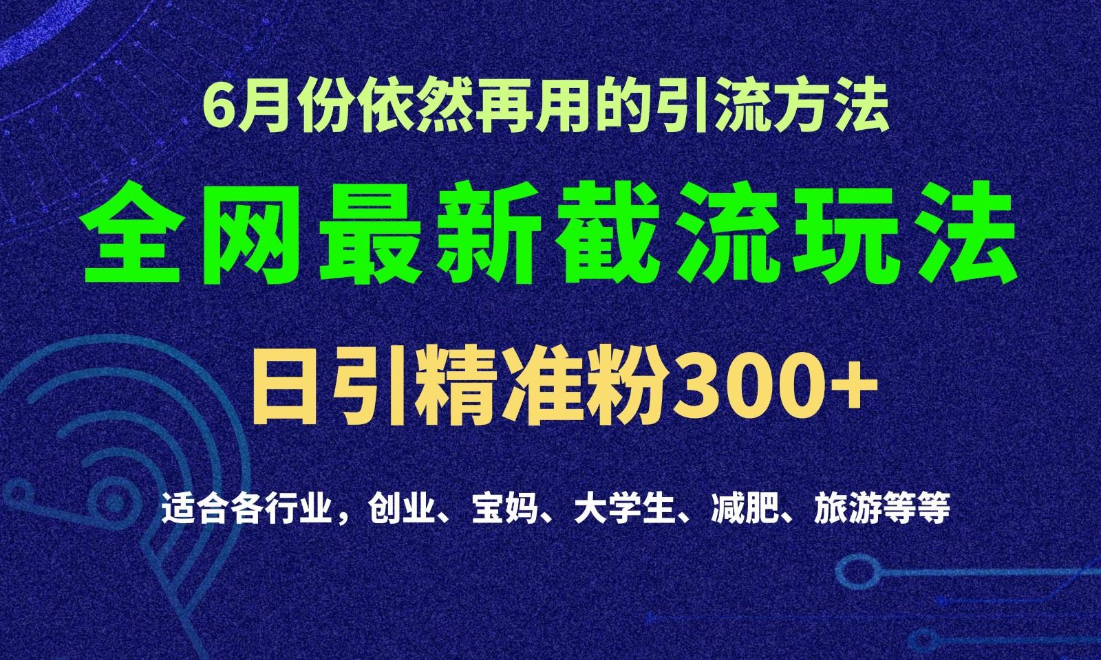2024全网最新截留玩法，每日引流突破300+-情久项目网