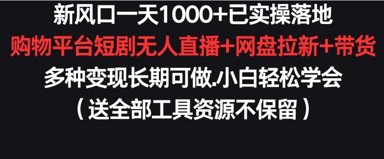 新风口一天1000+已实操落地购物平台短剧无人直播+网盘拉新+带货多种变现长期可做【揭秘】-情久项目网