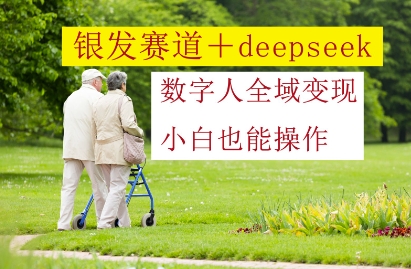 银发赛道+deepseek数字人全域变现，小白也能操作-情久项目网