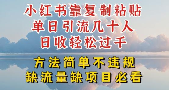小红书靠复制粘贴单日引流几十人目收轻松过千，方法简单不违规【揭秘】-情久项目网