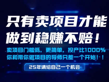 只有卖项目才能做到稳挣不赔，门槛低，更简单，你也可以年入百个W【揭秘】-情久项目网