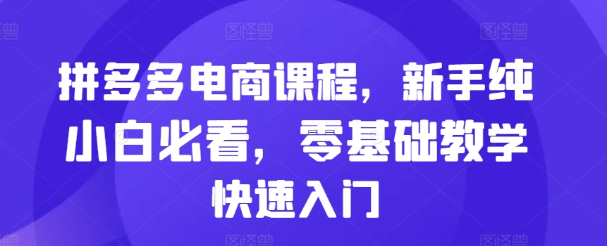 拼多多电商课程，新手纯小白必看，零基础教学快速入门-情久项目网