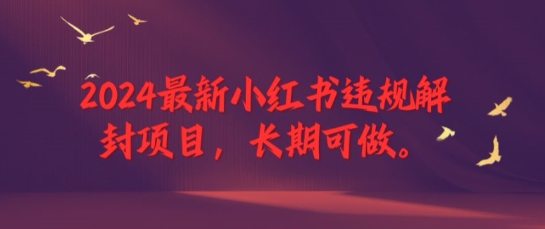 2024最新小红书违规解封项目，长期可做，一个可以做到退休的项目【揭秘】-情久项目网