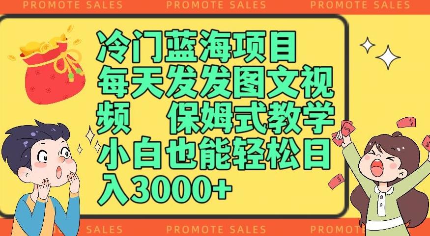 冷门蓝海项目，每天发发图文视频，保姆式教学，小白也能轻松日入3000+-情久项目网