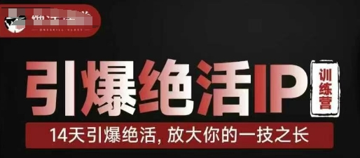 引爆绝活IP训练营，14天引爆绝活，放大你的一技之长-情久项目网