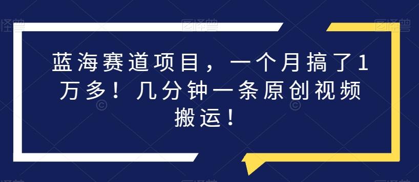 蓝海赛道项目，一个月搞了1万多！几分钟一条原创视频搬运！-情久项目网
