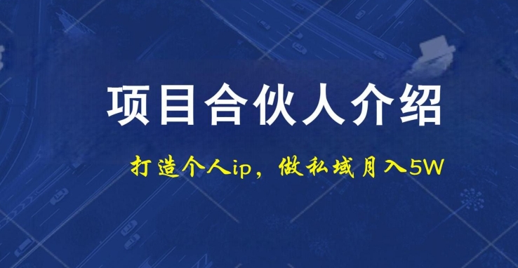 项目合伙人项目，打造个人IP，做私域月入5W，小白勿扰-情久项目网