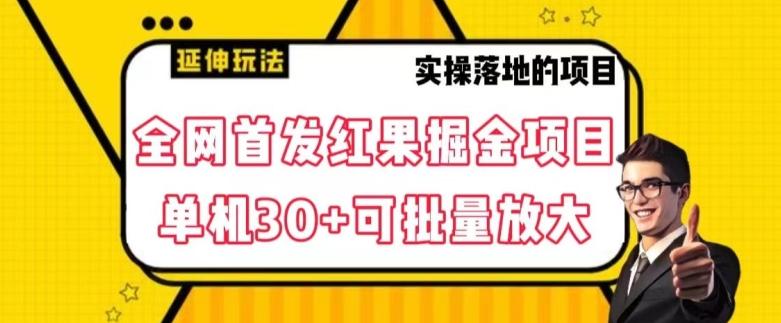 全网首发红果免费短剧掘金项目，单机30+可批量放大【揭秘】-情久项目网