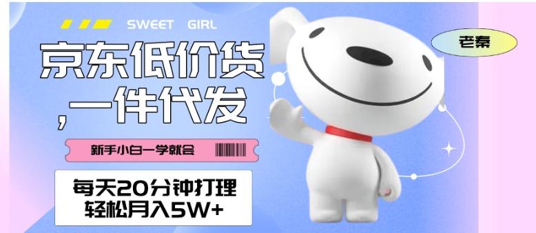 每天20分钟打理京东低价货，一件代发-轻松月入5W＋-情久项目网