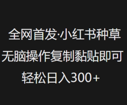 全网首发，小红书种草无脑操作，复制黏贴即可，轻松日入3张-情久项目网