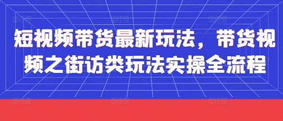 短视频带货最新玩法，带货视频之街访类玩法实操全流程-情久项目网