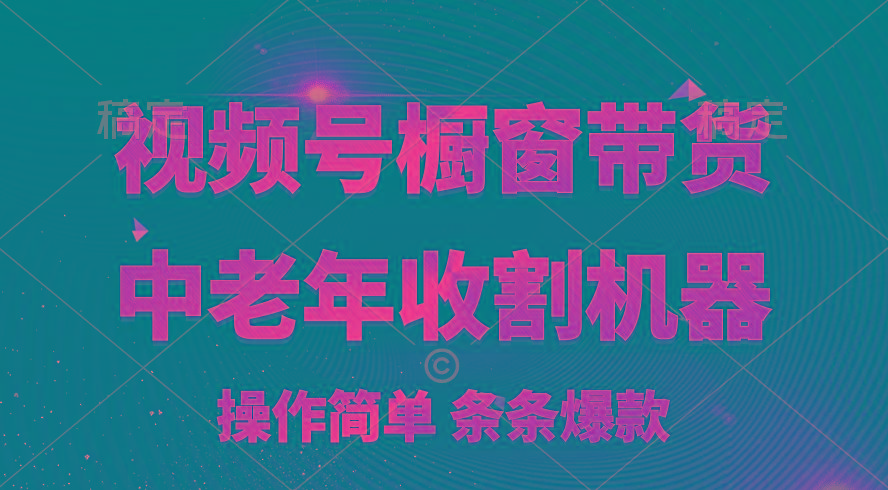 [你的孩子成功取得高位]视频号最火爆赛道，橱窗带货，流量分成计划，条…-情久项目网