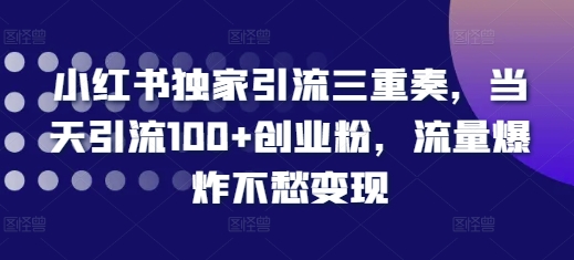 小红书独家引流三重奏，当天引流100+创业粉，流量爆炸不愁变现【揭秘】-情久项目网
