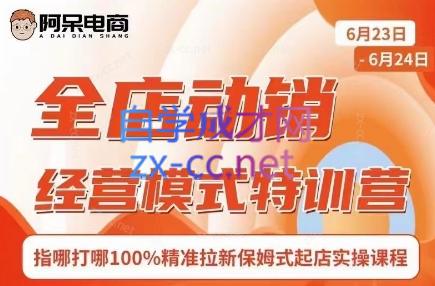 阿呆电商·全店动销经营模式特训营(线下录音+思维导图)-情久项目网
