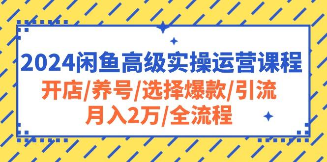 2024闲鱼高级实操运营课程：开店/养号/选择爆款/引流/月入2万/全流程-情久项目网