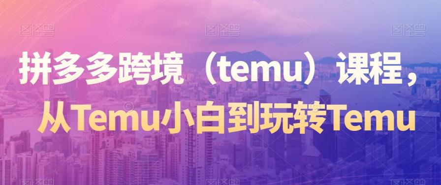 拼多多跨境（temu）课程，从Temu小白到玩转Temu-情久项目网
