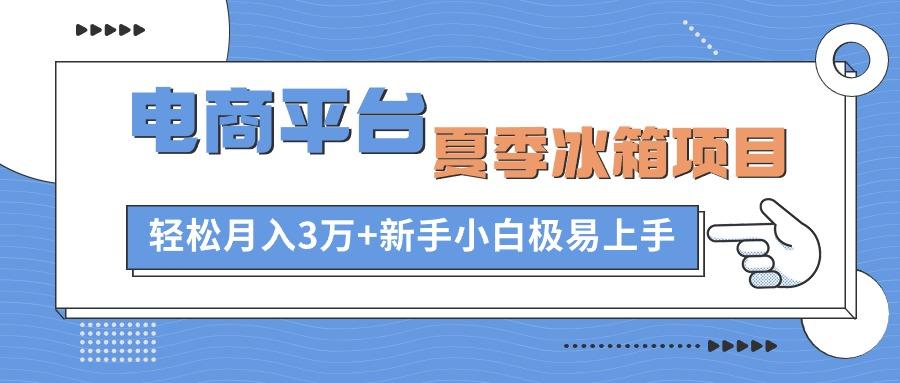 电商平台夏季冰箱项目，轻松月入3万+，新手小白极易上手-情久项目网