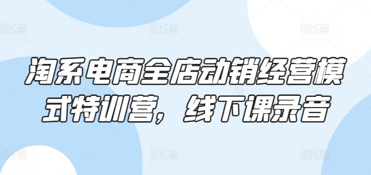 淘系电商全店动销经营模式特训营，线下课录音-情久项目网