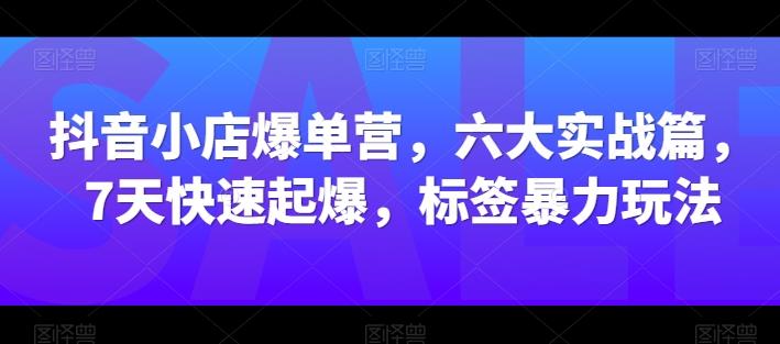 抖音小店爆单营，六大实战篇，7天快速起爆，标签暴力玩法-情久项目网