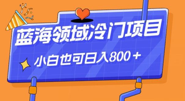 蓝海领域冷门赛道，一单39.9，日入800＋-情久项目网