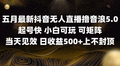 2025五月最新无人直播撸音浪单日产出5张+实操教程【揭秘】-情久项目网