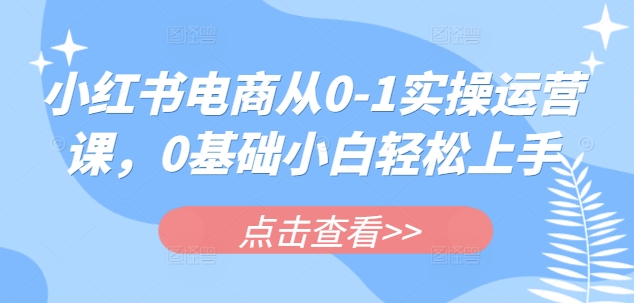 小红书电商从0-1实操运营课，0基础小白轻松上手-情久项目网