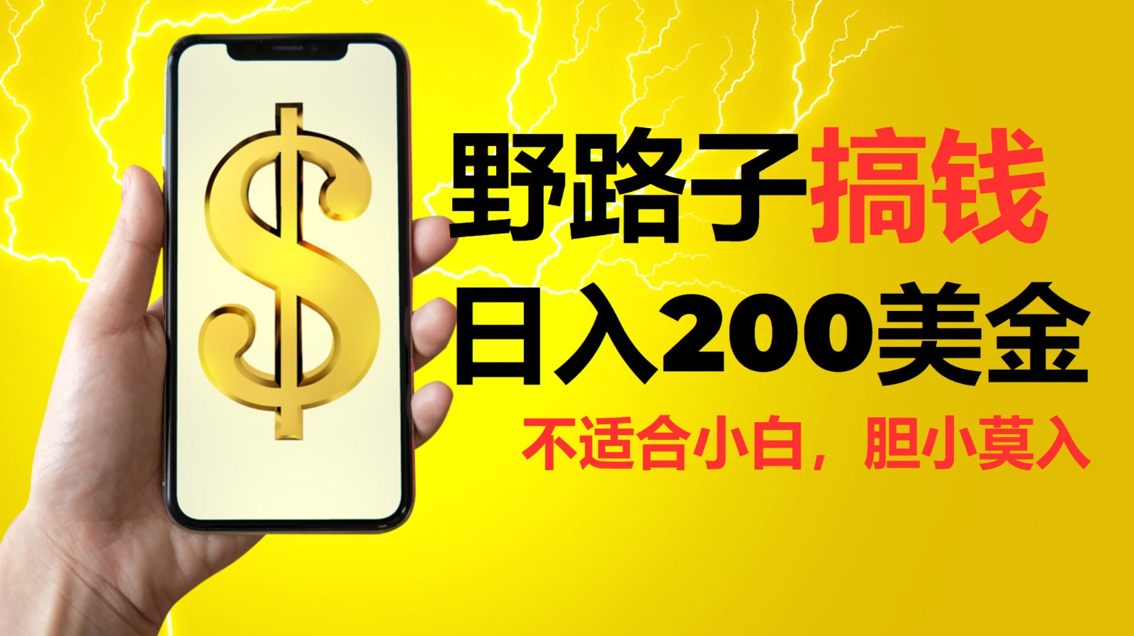 挂机野路子搞钱，日入200美金，路子很野，小白莫入-情久项目网