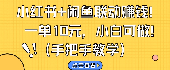 小红书+闲鱼联动挣钱，一单10元，小白可做-情久项目网