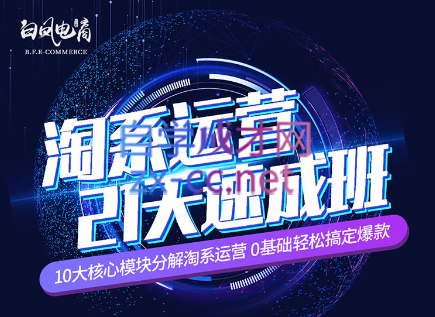 淘系运营21天速成班(更新7月)-情久项目网