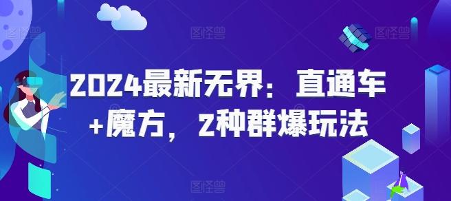 2024最新无界：直通车+魔方，2种群爆玩法-情久项目网