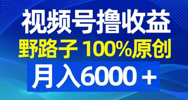 视频号野路子撸收益，100%原创，条条爆款，月入6000＋【揭秘】-情久项目网