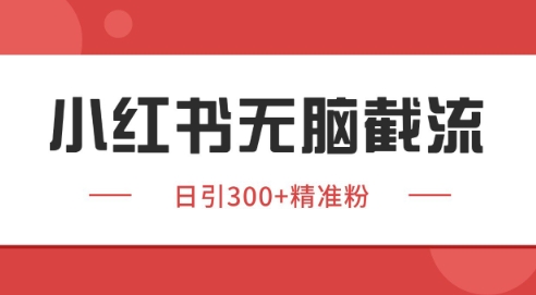 小红书截流同行客源，独家野路子获客玩法 日引200+暴力获客【揭秘】-情久项目网