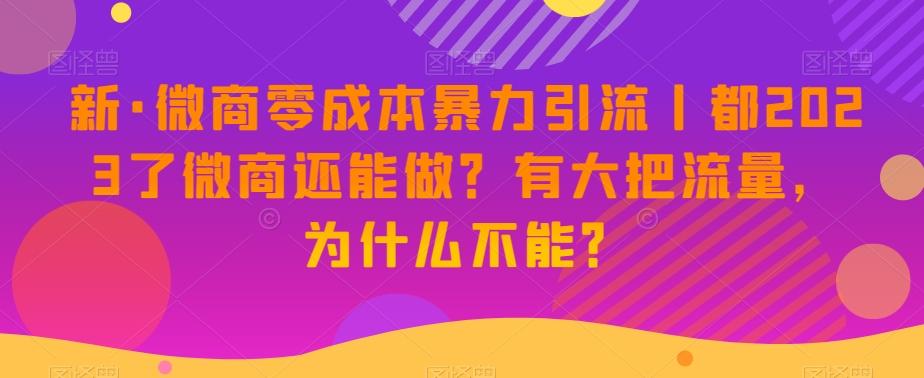 新·微商零成本暴力引流丨都2023了微商还能做？有大把流量，为什么不能？-情久项目网