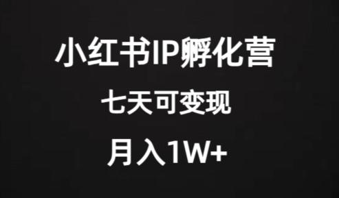 价值2000+的小红书IP孵化营项目，超级大蓝海，七天即可开始变现，稳定月入1W+-情久项目网