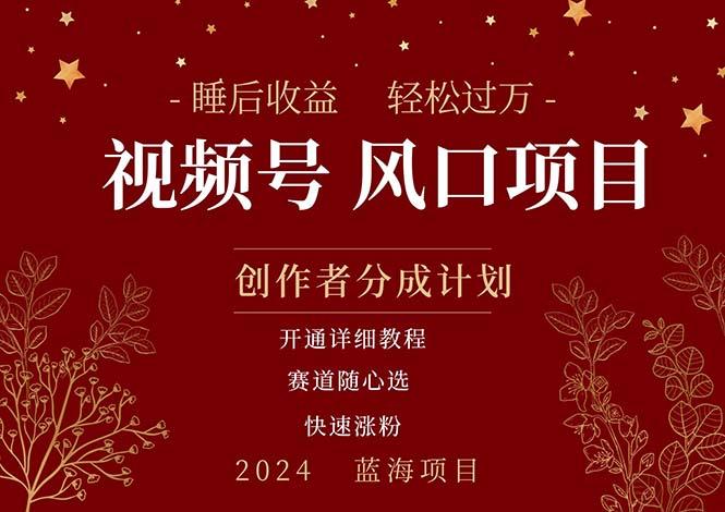 拥有睡眠收益的微信视频号大风口项目，轻松月入过万+，多赛道选择，可…-情久项目网