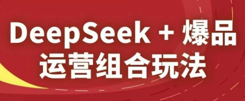 DeepSeek+爆品运营组合玩法，2025淘系精品课-情久项目网