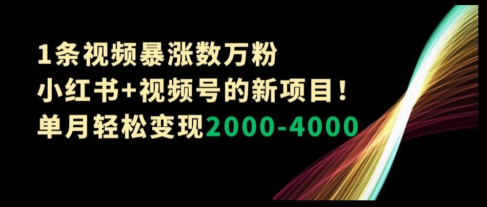 1条视频暴涨数万粉–小红书+视频号的新项目！单月轻松变现2000-4000【揭秘】-情久项目网