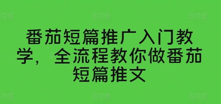 番茄短篇推广入门教学，全流程教你做番茄短篇推文-情久项目网