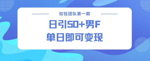 男粉引流新方法不违规，当日即可变现-情久项目网