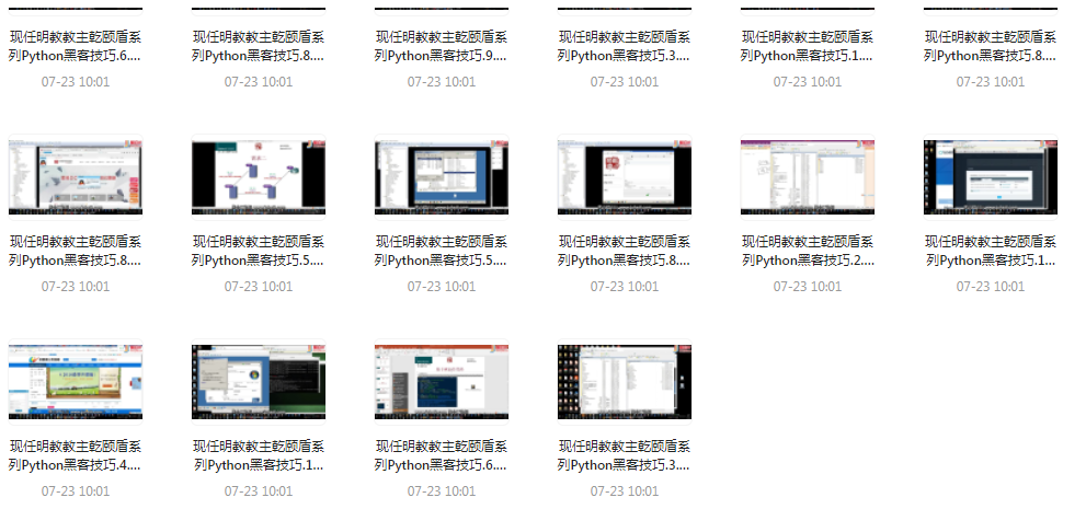 Python黑客技巧课程-情久项目网
