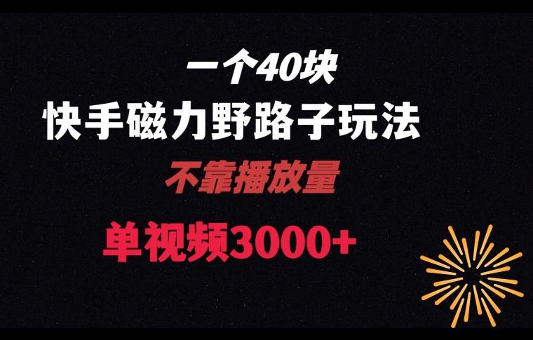 一个40块，快手联合美团磁力新玩法，无视机制野路子玩法，单视频收益4位数【揭秘】-情久项目网