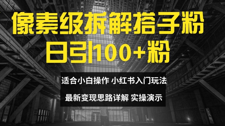 像素级拆解搭子粉，日引100+，小白看完可上手，最新变现思路详解【揭秘】-情久项目网