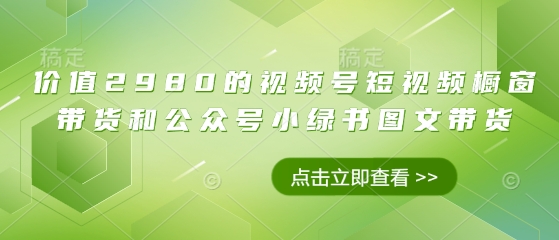 价值2980的视频号短视频橱窗带货和公众号小绿书图文带货-情久项目网