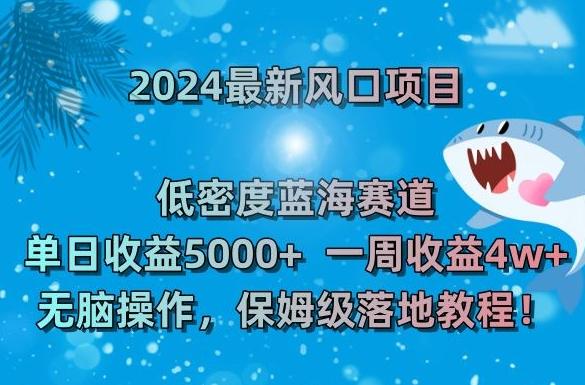 2024最新风口项目，低密度蓝海赛道，单日收益5000+，一周收益4w+！【揭秘】-情久项目网
