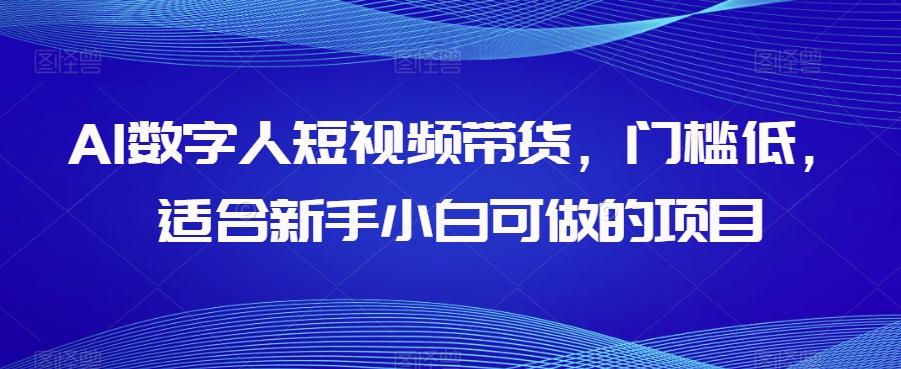 AI数字人短视频带货，门槛低，适合新手小白可做的项目-情久项目网