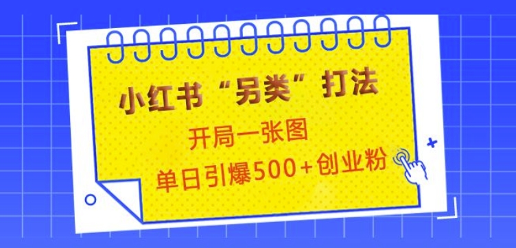 小红书“另类”打法，开局一张图，单日引爆500+精准创业粉【揭秘】-情久项目网