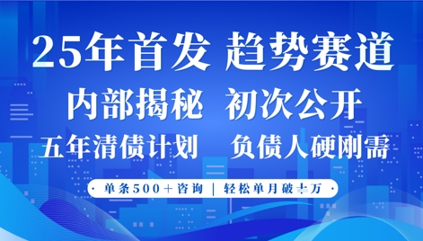 2025年首次公开，真正的事业型赛道，客咨不断，单月轻松破W-情久项目网