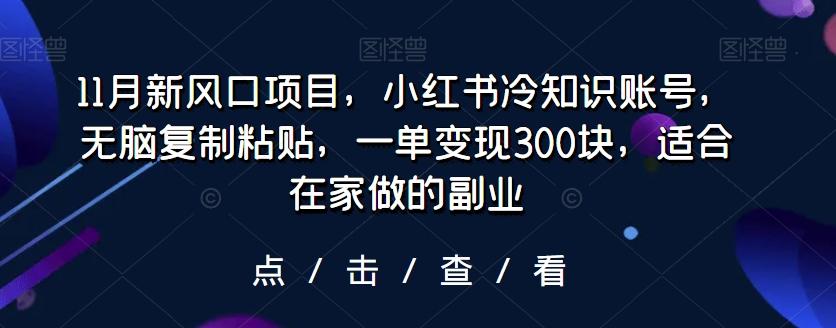 11月新风口项目，小红书冷知识账号，无脑复制粘贴，一单变现300块，适合在家做的副业-情久项目网