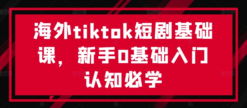 海外tiktok短剧基础课，新手0基础入门认知必学-情久项目网
